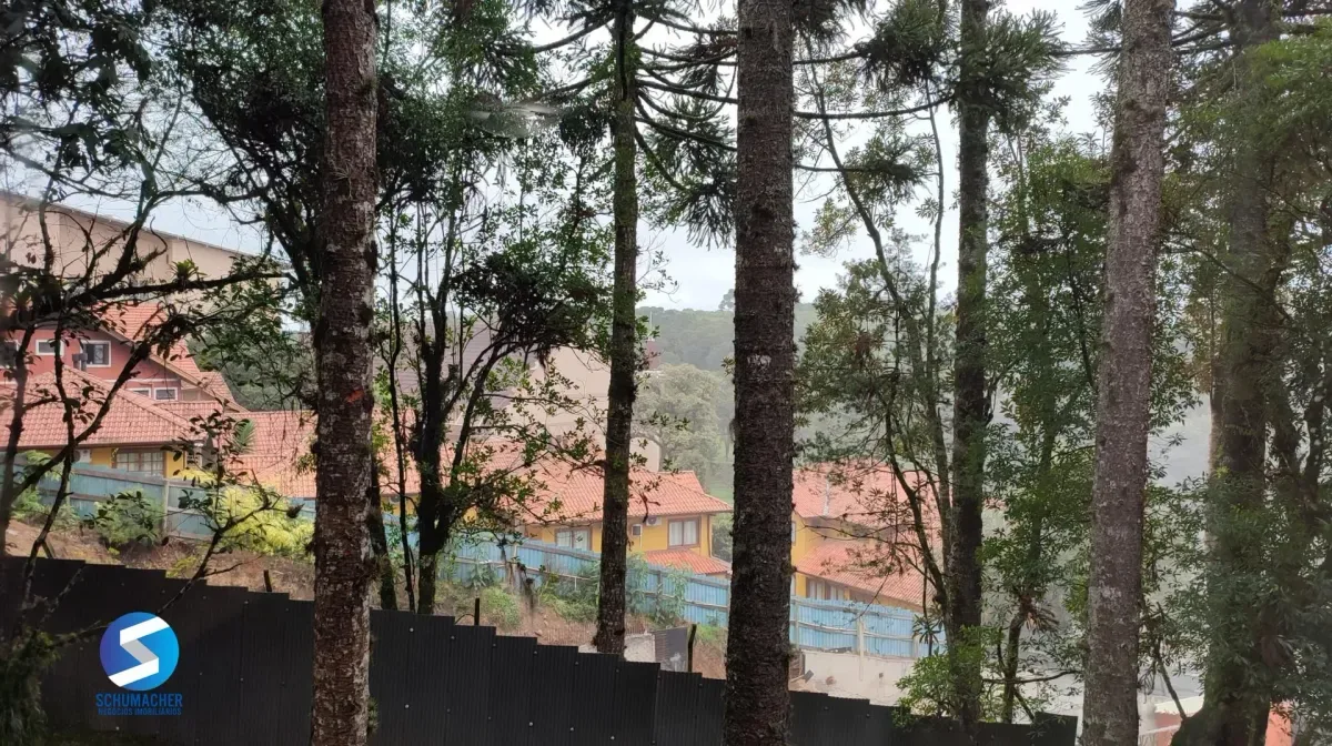 Apartamento para alugar com 38 m², 1 quarto, 1 banheiro, 1 vaga — foto 6