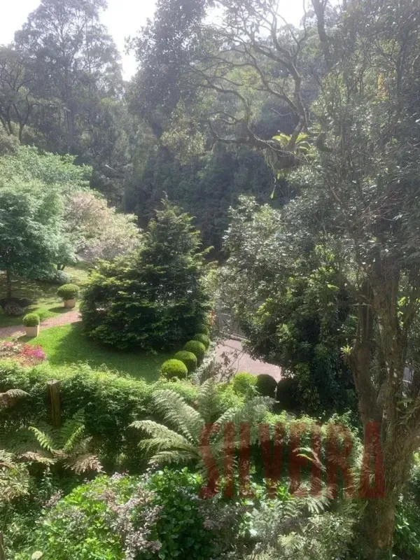 Apartamento para alugar com 175 m², 3 quartos, 3 banheiros, 1 vaga — foto 13