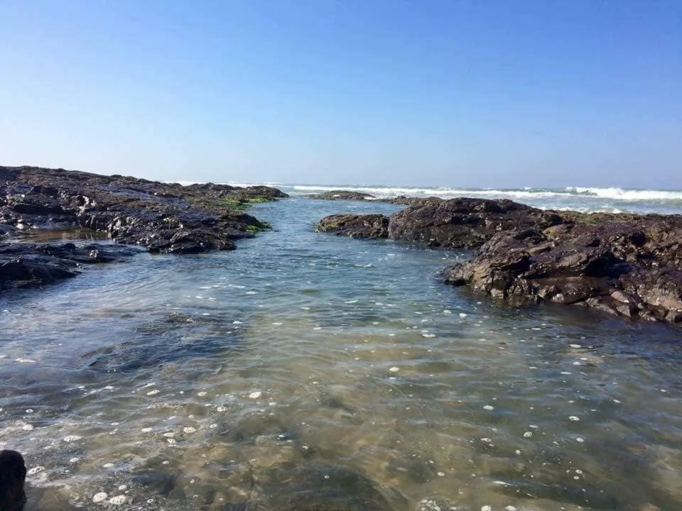 Bangalô em frente a reserva ecológica e 300m do mar, Torres (preços atualizados 2026), na Rua das Figueiras em Torres/RS — foto 13