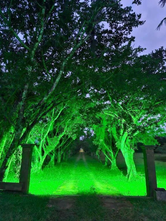 Recanto Bamboo Verde, Torres, na Estrada do Jacaré em Torres/RS — foto 13