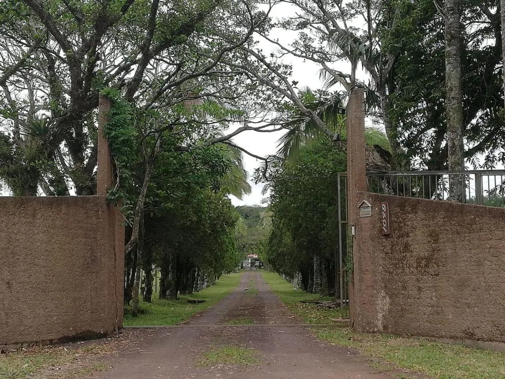 Recanto Bamboo Verde, Torres, na Estrada do Jacaré em Torres/RS — foto 15