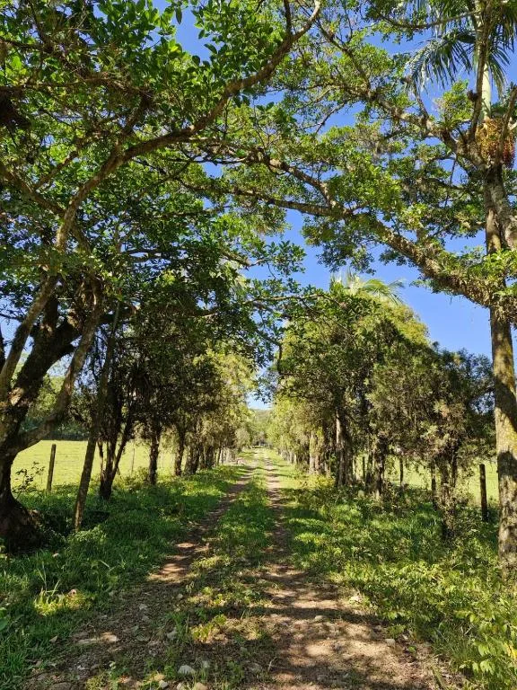 Recanto Bamboo Verde, Torres, na Estrada do Jacaré em Torres/RS — foto 16