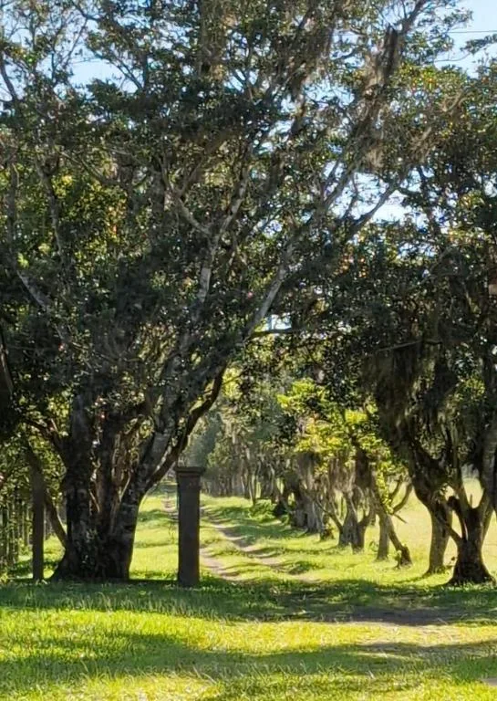 Recanto Bamboo Verde, Torres, na Estrada do Jacaré em Torres/RS — foto 26