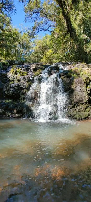 Estancia Las Araucarias, na Recanto da Esperança, 1000 Linha São Paulo em Canela/RS — foto 36