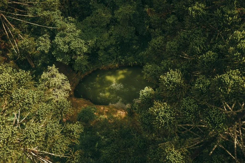 Estancia Las Araucarias, na Recanto da Esperança, 1000 Linha São Paulo em Canela/RS — foto 50