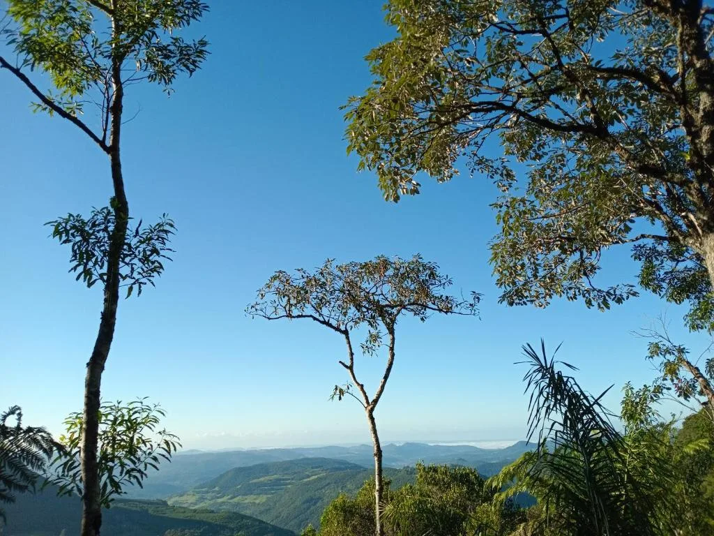CHALÉ ALPES DOS ANJOS TUDO NUM SÓ LUGAR NATUREZA MOBILIA COMPLETA ESPAÇOSO SEM STRESS A 2 KM DO CENTRO DE CANELA rs, Canela, na Cezari vacari 1100 Casa em Canela/RS — foto 11