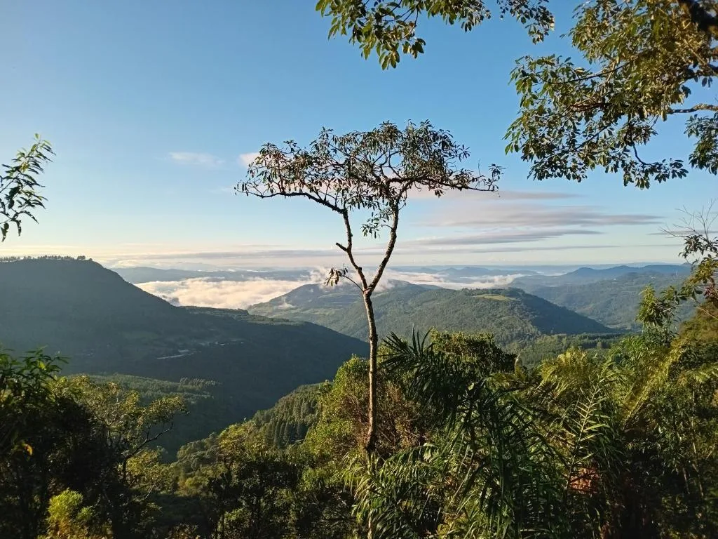 CHALÉ ALPES DOS ANJOS TUDO NUM SÓ LUGAR NATUREZA MOBILIA COMPLETA ESPAÇOSO SEM STRESS A 2 KM DO CENTRO DE CANELA rs, Canela, na Cezari vacari 1100 Casa em Canela/RS — foto 22