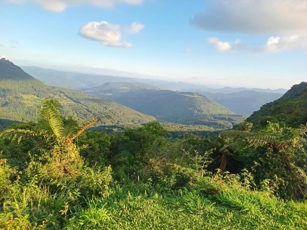 CHALÉ ALPES DOS ANJOS TUDO NUM SÓ LUGAR NATUREZA MOBILIA COMPLETA ESPAÇOSO SEM STRESS A 2 KM DO CENTRO DE CANELA rs, Canela, na Cezari vacari 1100 Casa em Canela/RS — foto 31