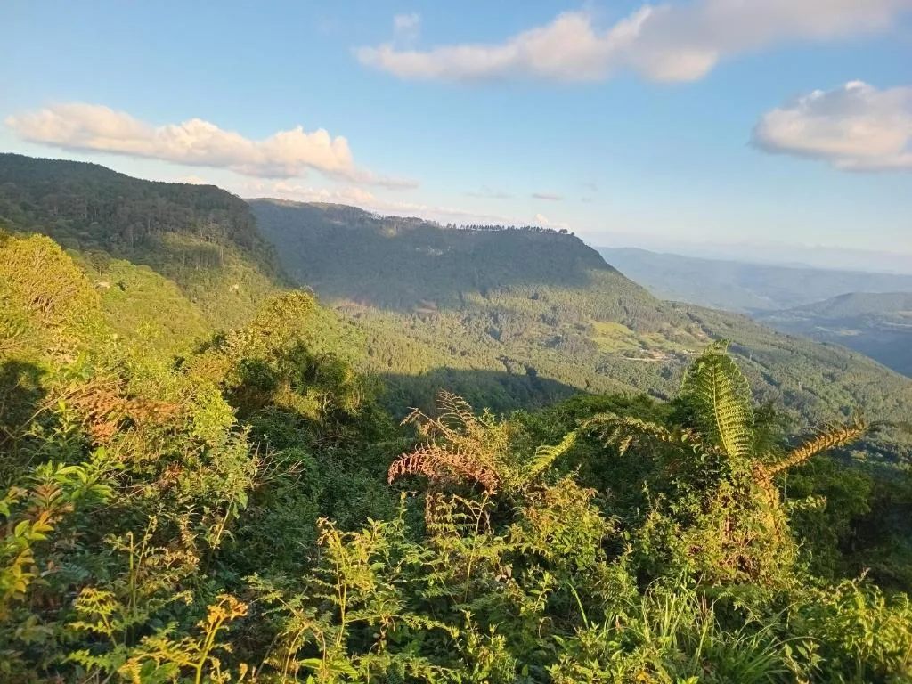 CHALÉ ALPES DOS ANJOS TUDO NUM SÓ LUGAR NATUREZA MOBILIA COMPLETA ESPAÇOSO SEM STRESS A 2 KM DO CENTRO DE CANELA rs, Canela, na Cezari vacari 1100 Casa em Canela/RS — foto 32
