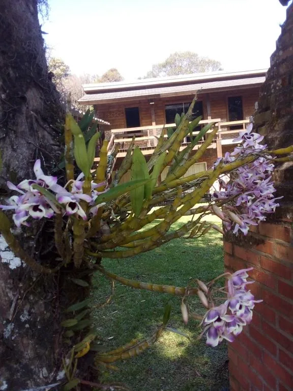 CHALÉ ALPES DOS ANJOS TUDO NUM SÓ LUGAR NATUREZA MOBILIA COMPLETA ESPAÇOSO SEM STRESS A 2 KM DO CENTRO DE CANELA rs, Canela, na Cezari vacari 1100 Casa em Canela/RS — foto 41