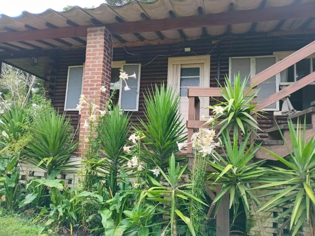 CHALÉ ALPINO RAIZ TODO MOBILIADO COM 2 QUARTOS COZINHA SALA BANHEIRO NATUREZA 2 KM centro de Canela rs, Canela, na Rua Cezare Vaccari 1100 Alpes Verdes Casa em Canela/RS — foto 22