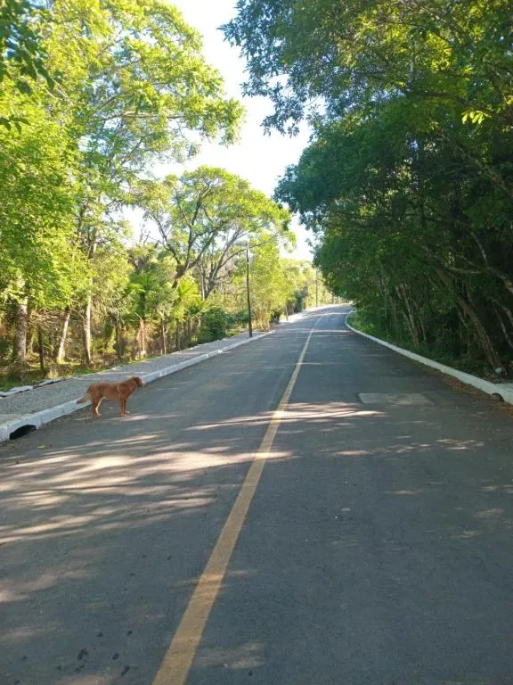 CHALÉ ALPINO RAIZ TODO MOBILIADO COM 2 QUARTOS COZINHA SALA BANHEIRO NATUREZA 2 KM centro de Canela rs, Canela, na Rua Cezare Vaccari 1100 Alpes Verdes Casa em Canela/RS — foto 27