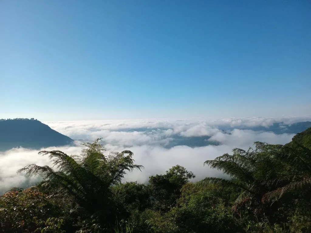 CHALÉ ALPINO RAIZ TODO MOBILIADO COM 2 QUARTOS COZINHA SALA BANHEIRO NATUREZA 2 KM centro de Canela rs, Canela, na Rua Cezare Vaccari 1100 Alpes Verdes Casa em Canela/RS — foto 33