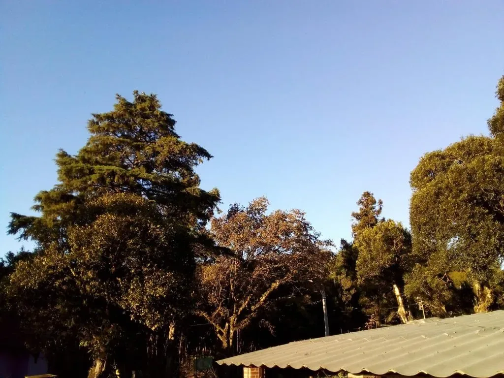 CHALÉ ALPINO RAIZ TODO MOBILIADO COM 2 QUARTOS COZINHA SALA BANHEIRO NATUREZA 2 KM centro de Canela rs, Canela, na Rua Cezare Vaccari 1100 Alpes Verdes Casa em Canela/RS — foto 34