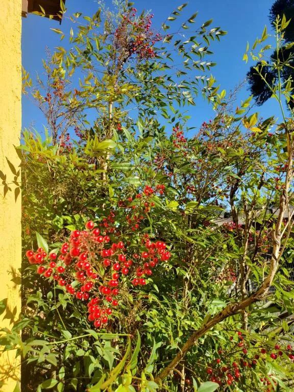 Apartamento Flor de Canela, Canela, na Rua Paul Harris em Canela/RS — foto 14