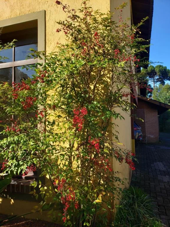Apartamento Flor de Canela, Canela, na Rua Paul Harris em Canela/RS — foto 35