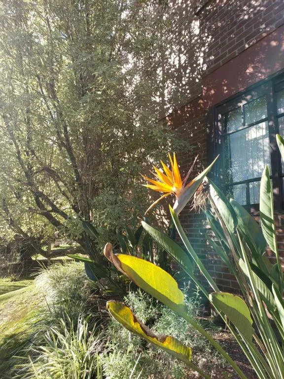 Apartamento Flor de Canela, Canela, na Rua Paul Harris em Canela/RS — foto 41