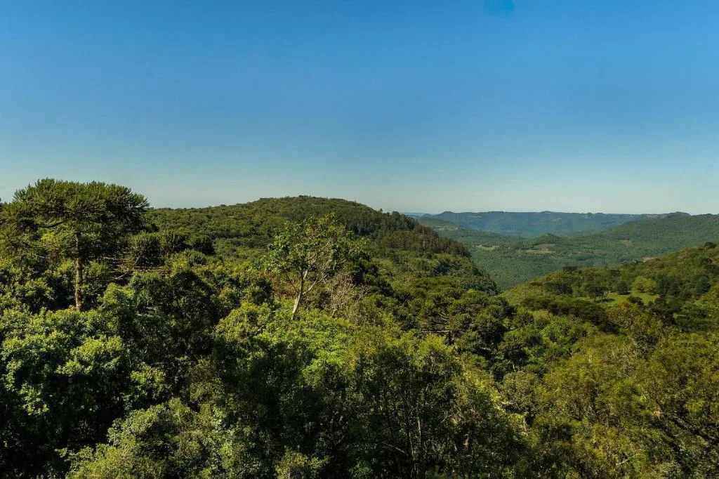 Luxo e Vista Quinta da Serra by Achei, Canela, na 40 Rua dos Tucanos em Canela/RS — foto 10