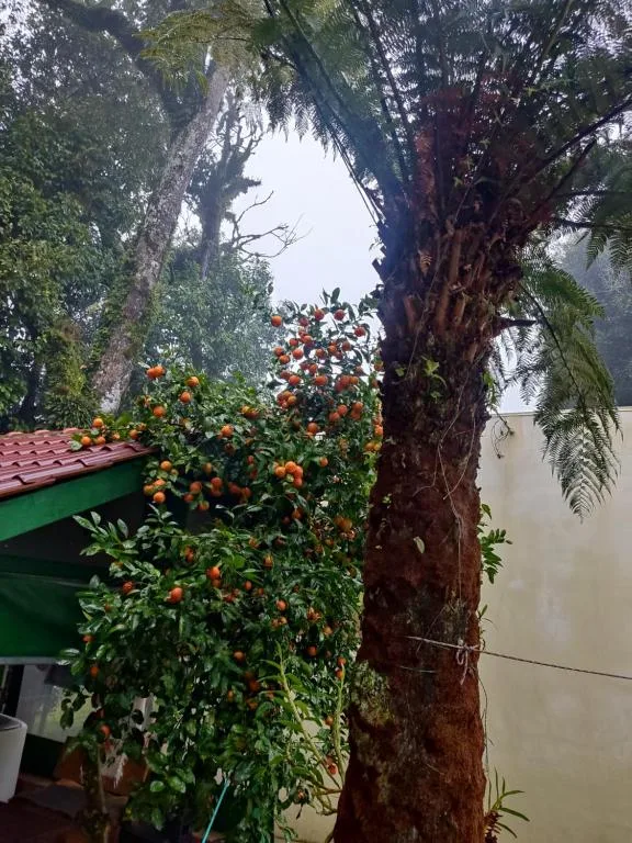 Recanto da Maria Vitoria - Casa 02, Canela, na Rua Berlim em Canela/RS — foto 26