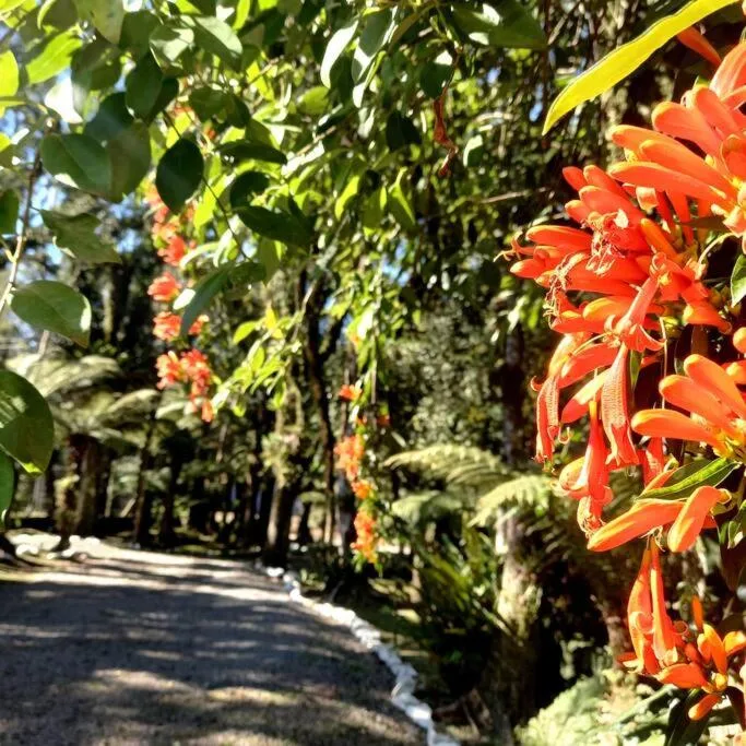 Cabana dos Alpes, Canela, na 500 Rua dos Pinheiros em Canela/RS — foto 11