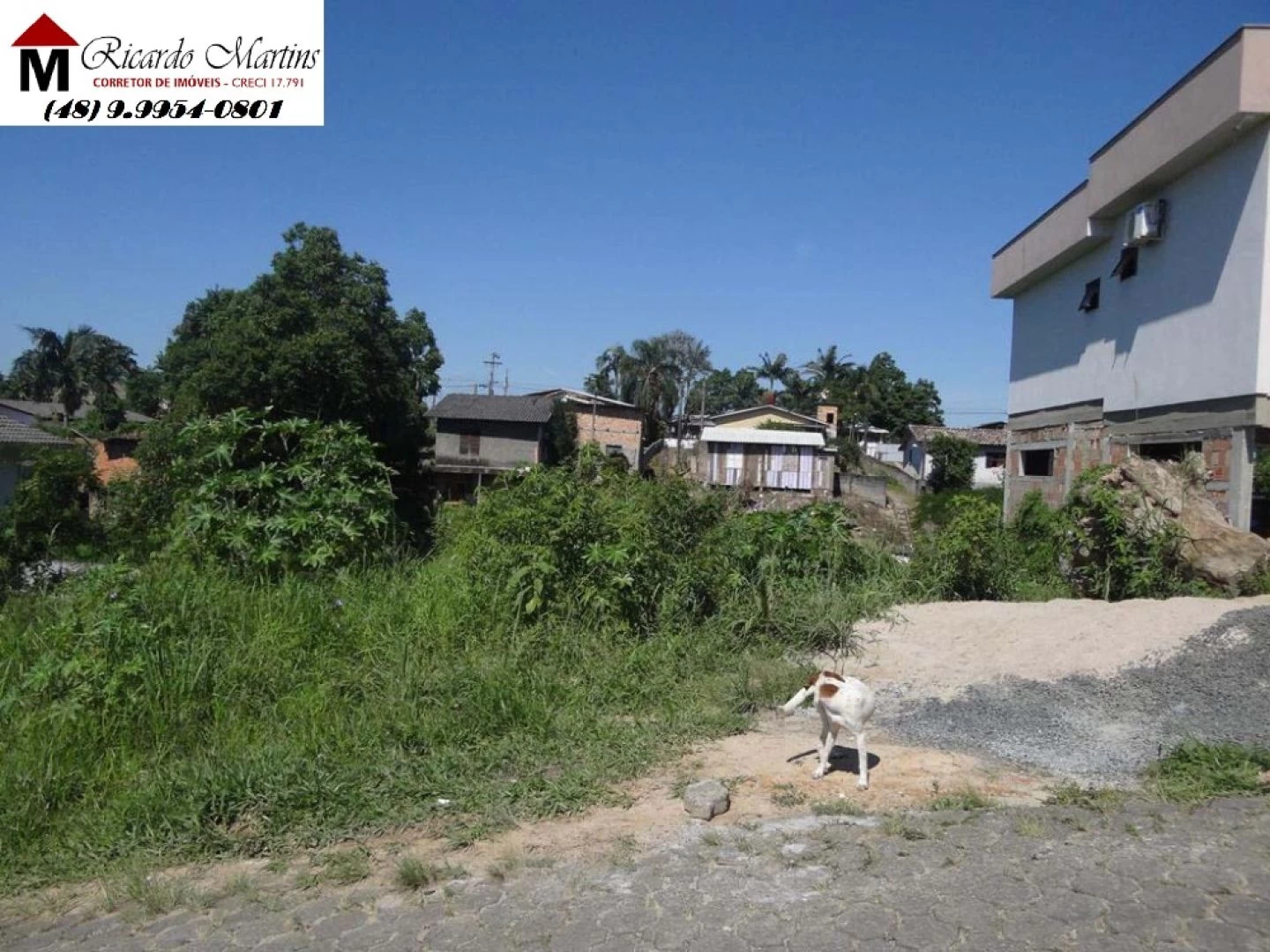 Terreno a venda bairro Santo Antonio Criciúma