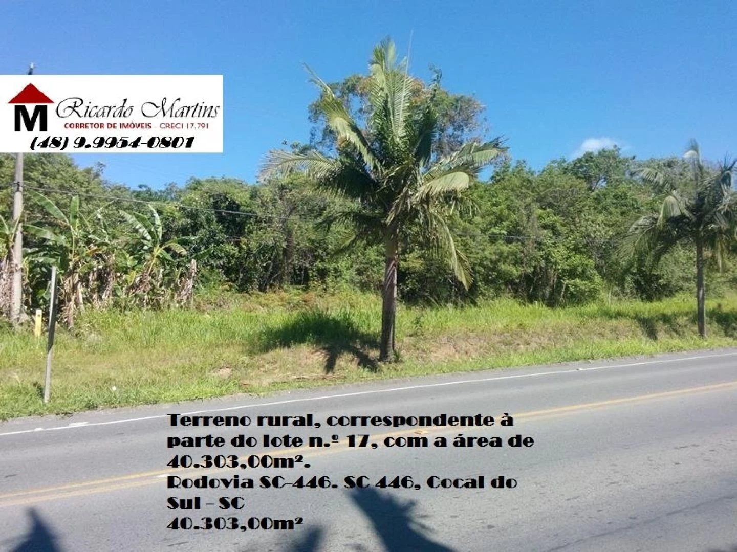 Terreno comercial a venda Cocal do Sul