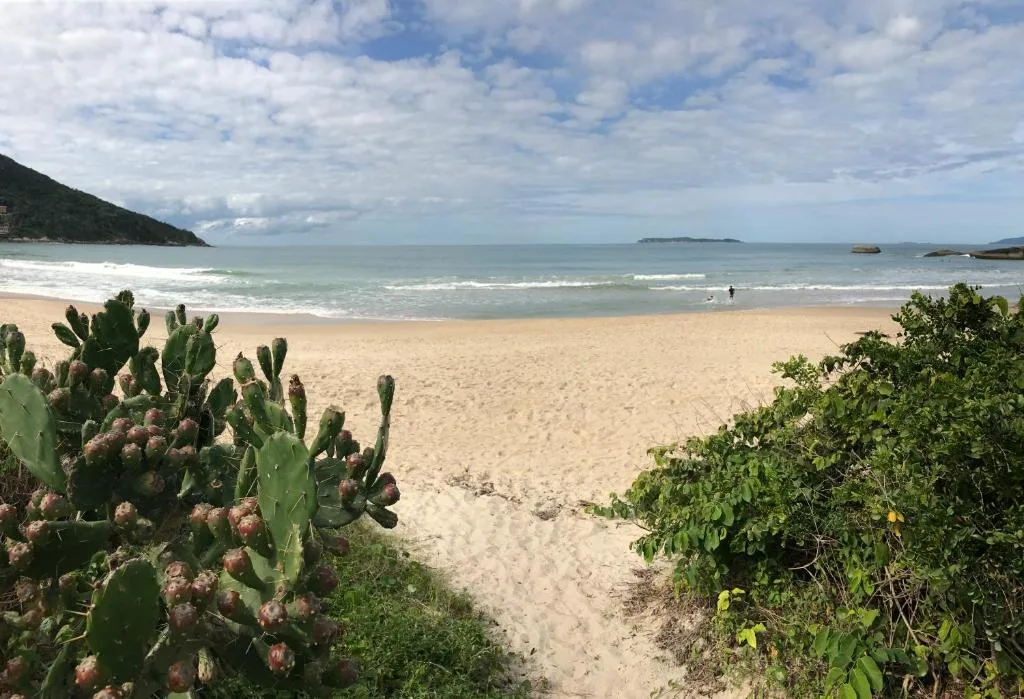 Praia de Quatro Ilhas a 50 metros do mar, Bombinhas, na Avenida Ilha do Arvoredo 40 Apto em Bombinhas/SC — foto 50