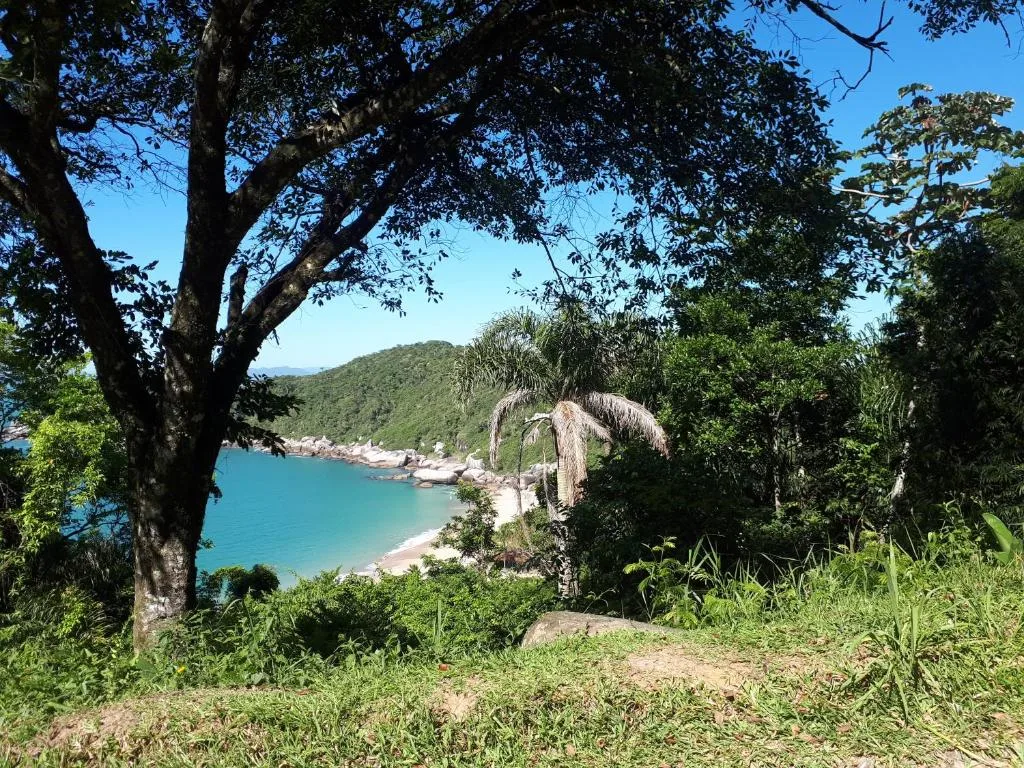 Tainha da Praia Aparthotel, Bombinhas, na 184 Rua Búzio em Bombinhas/SC — foto 18