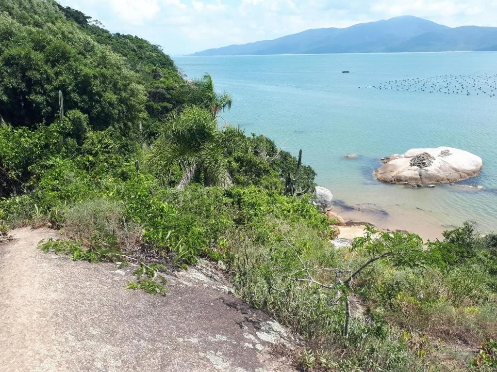 Tainha da Praia Aparthotel, Bombinhas, na 184 Rua Búzio em Bombinhas/SC — foto 26