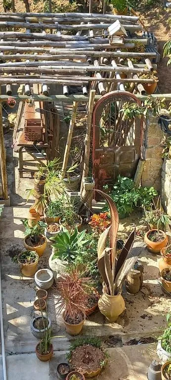 Tainha da Praia Aparthotel, Bombinhas, na 184 Rua Búzio em Bombinhas/SC — foto 34