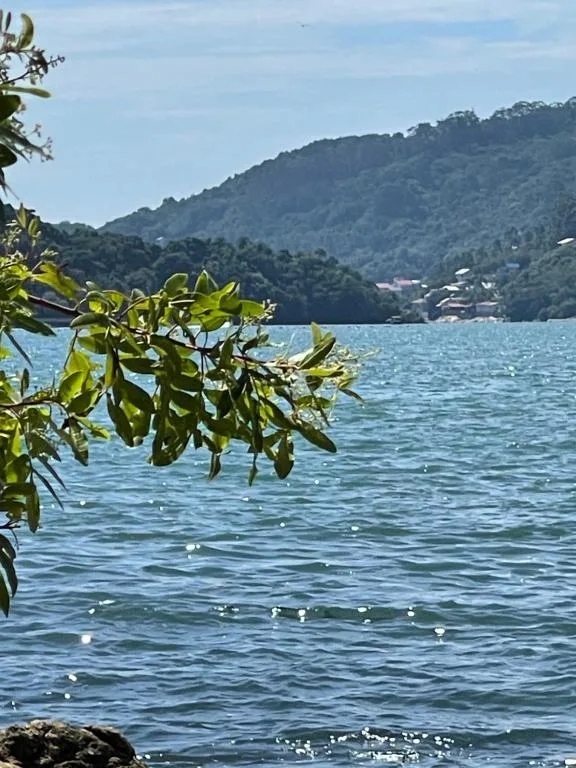 Casa com 2 quartos Recanto Praia das Vieiras - Porto Belo, Porto Belo, na Rua Antônio Miliana em Porto Belo/SC — foto 24