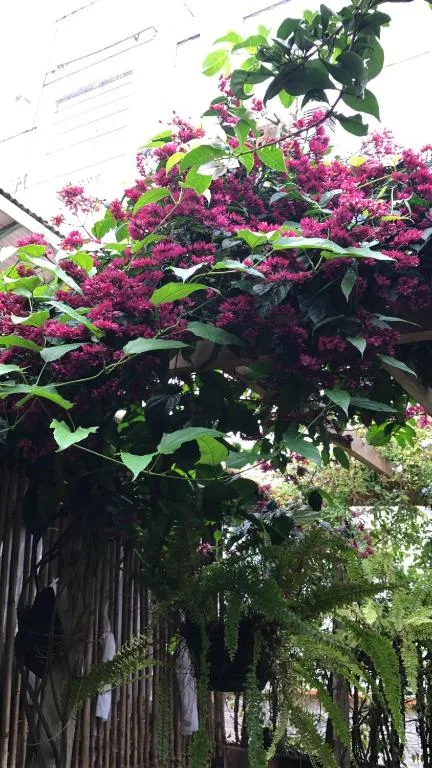 Villa Di Loire, na Rua 3618 Número em Balneário Camboriú/SC — foto 31