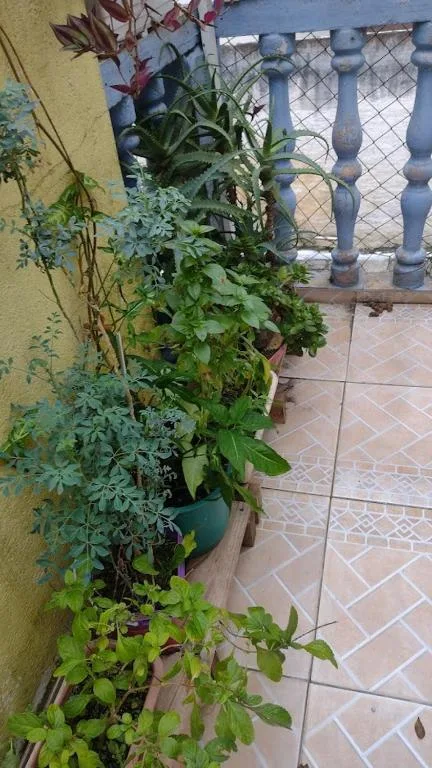 Hospedagem Domiciliar Alternativa, Balneário Camboriú, na Rua 2800, 460 apto em Balneário Camboriú/SC — foto 21