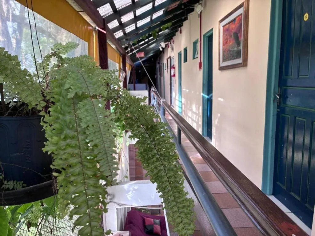 Uma pousada acolhedora, que combina a alma de um lar com o charme de Balneário Camboriú, Balneário Camboriú, na Rua em Balneário Camboriú/SC — foto 17