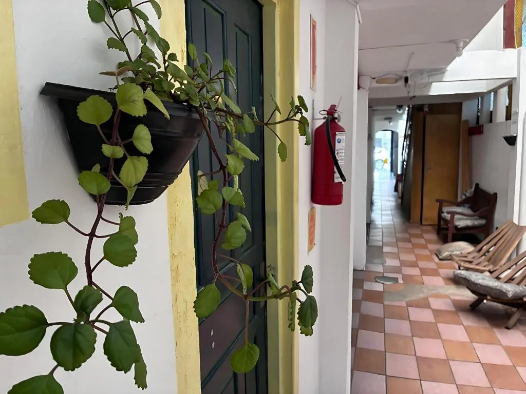 Uma pousada acolhedora, que combina a alma de um lar com o charme de Balneário Camboriú, Balneário Camboriú, na Rua em Balneário Camboriú/SC — foto 26