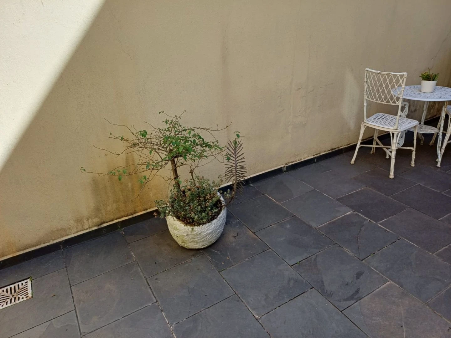 Sobrado com 3 dormitórios à venda, 150 m² por R$ 740.000 - Campestre - Santo André/SP — foto 15
