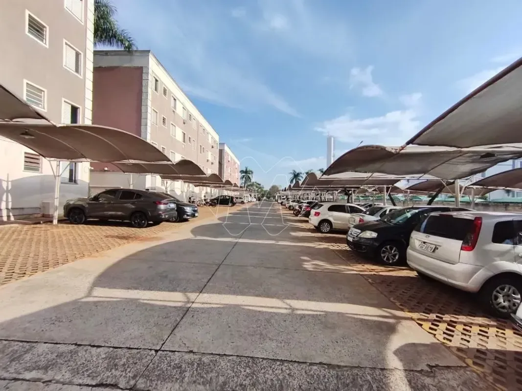 Apartamento para alugar com 51 m², 2 quartos, 1 banheiro, 1 vaga em Jardim Primor, Araraquara/SP — foto 3