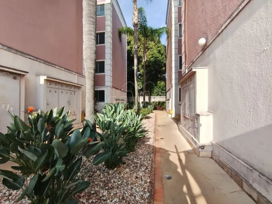 Apartamento para alugar com 51 m², 2 quartos, 1 banheiro, 1 vaga em Jardim Primor, Araraquara/SP — foto 4