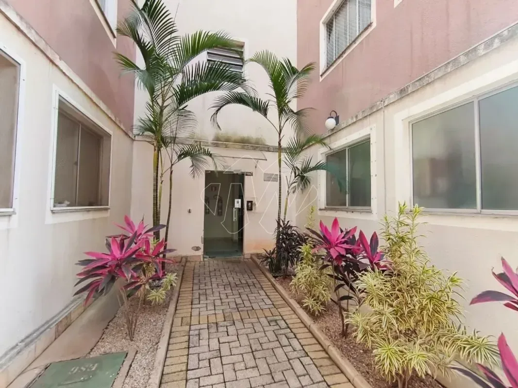 Apartamento para alugar com 51 m², 2 quartos, 1 banheiro, 1 vaga em Jardim Primor, Araraquara/SP — foto 5