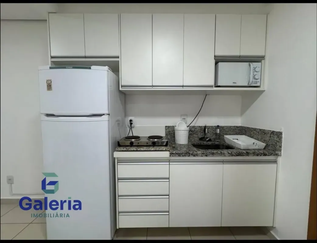 Apartamento para alugar com 30 m², 1 quarto, 1 banheiro, 1 vaga, na Rua Professor Doutor Francisco Orlando Alonso, bairro Nova Aliança em Ribeirão Preto/SP — foto 2
